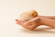© zhane luk - close up of children's hand holding a little sleeping chick.