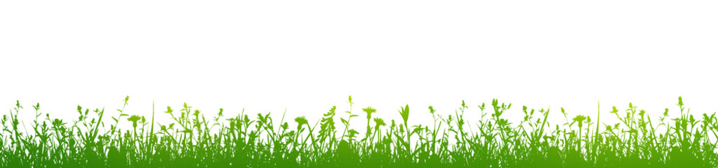 Wall Mural - green flowers and grass isolated on white background illustration