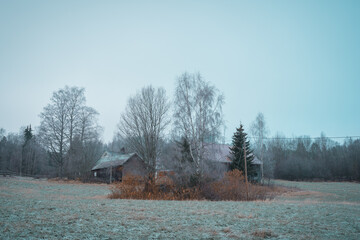 Wall Mural - A farm in late autumn.