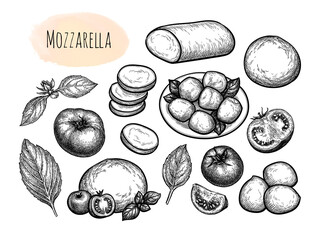 Canvas Print - mozzarella cheese big set.