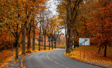 an autumn road in Worcestershire 