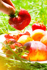 Wall Mural - Man take Strawberries and peaches from a plate on the green grass. Delicious and fresh summer fruits. Healthy vegetarian food with vitamins.