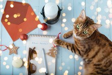 A Letter To Santa Claus, An Envelope, Christmas Toys And A Cat On A Wooden Table.