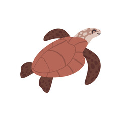 Wall Mural - great brown turtle