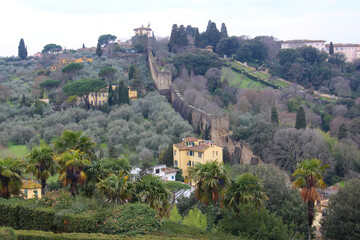 Wall Mural - Panorama view of the city of Florence from the Michelangelo hill. The historic part of the Italian city top view.