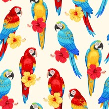 Vector Seamless Pattern With Macaw And Flowers