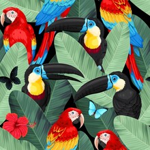 Vector Seamless Pattern With Macaw And Toucan