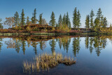 Fototapeta Most - the beginning of autumn in the forest tundra