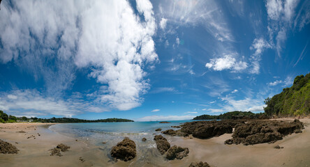 Wall Mural - Panorama of a beach in new Zealand