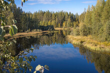 Autumn Landscape On The Oster River In Karelia. The Forest Borders The Shores