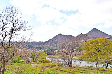 Wall Mural - 【群馬県利根郡】春の諏訪峡遊歩道 利根川