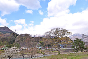 Wall Mural - 【群馬県利根郡】春の諏訪峡遊歩道 利根川