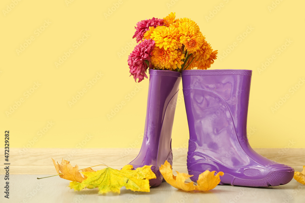 Rubber boots, flowers and fallen leaves against color wall