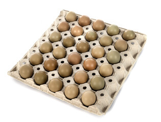 Wall Mural - pheasant eggs in studio