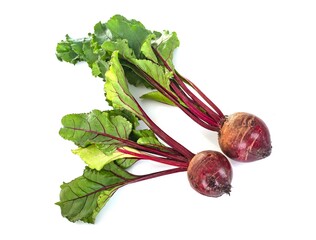 Wall Mural - beetroot in studio