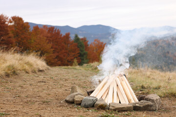 Wall Mural - Bonfire with smoldering firewood in mountains. Camping season