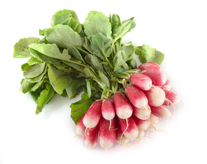 Wall Mural - radish in studio