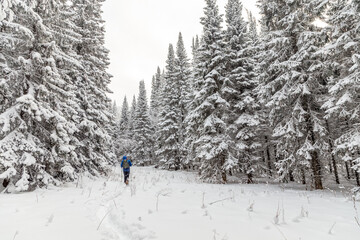 Winter landscape. Taganay national Park, Zlatoust city, Chelyabinsk region, South Ural, Russia.