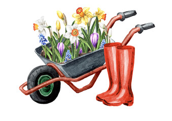 Watering can, Garden wheelbarrow with flowers and garden tools. Spring works in the garden. Hand drawn watercolor illustration isolated on white background