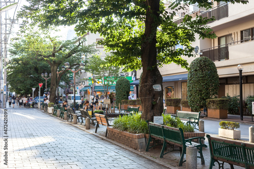 自由が丘・九品仏川緑道（東京都世田谷区奥沢） Stock Photo | Adobe Stock