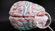 Mind body in human brain, a concept showing hundreds of crucial words related to Mind body projected onto a cortex to fully demonstrate broad extent of this condition, 3d illustration