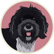 Dog Breeds Icons Flat Vector illustration Tibetan Terrier