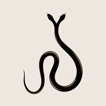 Snake With Two Heads, Silhouette, Mythology Design Element. Vector Illustration, EPS 10