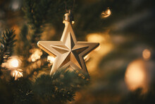 Festive Fir-tree With Golden Decor Star Toy. Night Time Before Christmas. Close Up With Copy Space.
