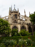 Fototapeta Paryż - Notre Dame
