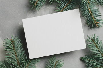 Wall Mural - Christmas greeting card mockup with fir tree branches on grey background