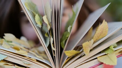 Wall Mural - Close-up of a woman's eyes that look through the pages of a book. Autumn leaves are nested between the pages of the book. Autumn concept