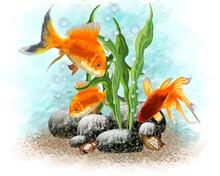 Illustration Of Gold Fish In Sea Water.Goldfish And Shells In Seaweed.