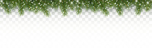 Border With Green Fir Branches, White Snowflakes Isolated On Transparent Background. Pine, Xmas Evergreen Plants Seamless Banner. Vector Snow Christmas Tree Garland