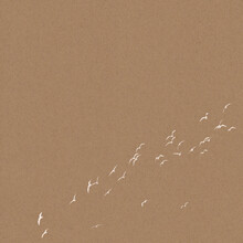Stylish Textured Craft Paper Background With A Flock Of Flying Seagulls 