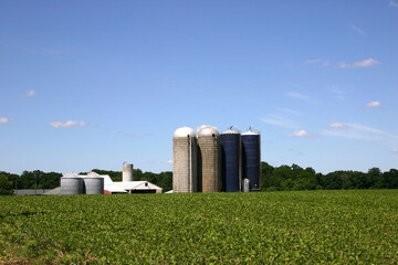 Vegetable/grain farm in rural New Jersey, USA . Outbuildings and silos at the end of the fields. New Jersey is also known as The Garden State.