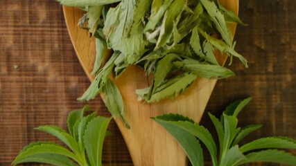 Wall Mural - Dry stevia leaves in a wooden spoon close-up on a wooden background. Stevia rebaudiana.Organic natural sweetener. 4k footage