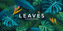Tropical Green Leaf And Colorful Flower Banner Design Background, Eps 10 Vector Illustration
