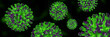 3D Microscopic Covid-19 pandemic. Green omicron virus mutation.