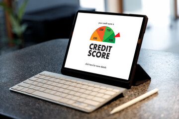 Wall Mural - CREDIT SCORE (Businessman Checking Credit Score Online and Financial payment Rating Budget Money).