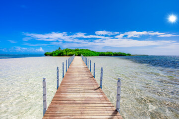 Wall Mural - wooden pier extending into the sea