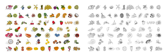 Fruit hand drawn style vector set. Illustration of colored and monochrome fruits for design farm product. Design element for poster, menu, flyer, banner, menu, package.