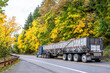 © vit - Blue big rig classic semi truck transporting pumpkin harvest in long bulk semi trailer driving on the winding mountain road with autumn forest