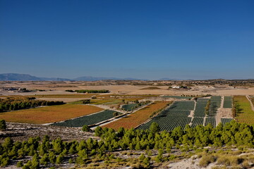 Poster - Champs de brocois et de poivrons. Andalousie. Espagne.