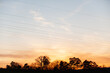 Stromleitungen kreuzen Landschaft mit Silhouette von Bäumen im Sonnenuntergang