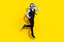 Full Length Photo Of Absurd Bizarre Guy Jump Touch Racoon Mask Isolated Over Yellow Shine Color Background