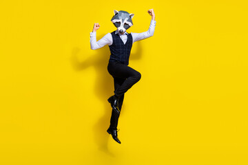 Canvas Print - Full size photo of weird bizarre guy raccoon guy jump raise fists up isolated over yellow shine color background