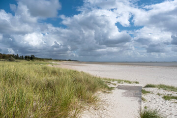 Canvas Print - Bohlenweg zum Meer, Nordseeinsel Föhr