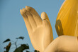 Buddha hands showing mercy to all who respect him.