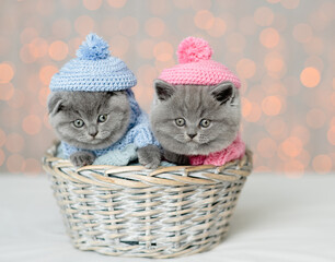 Sticker - Two kittens wearing knitted hats and sweaters are sitting in a basket  on festive background