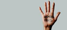 Text Human Rights In The Palm, Web Banner